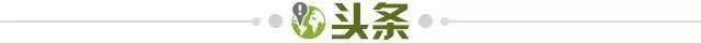 1742399424471080615.jpg 头条.jpg